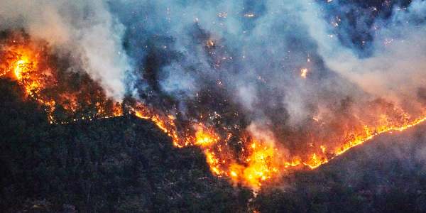 bushfire-main