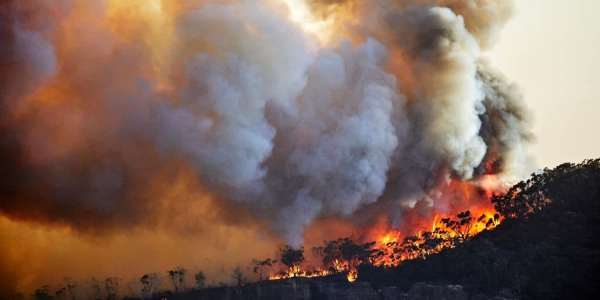 Bushfires