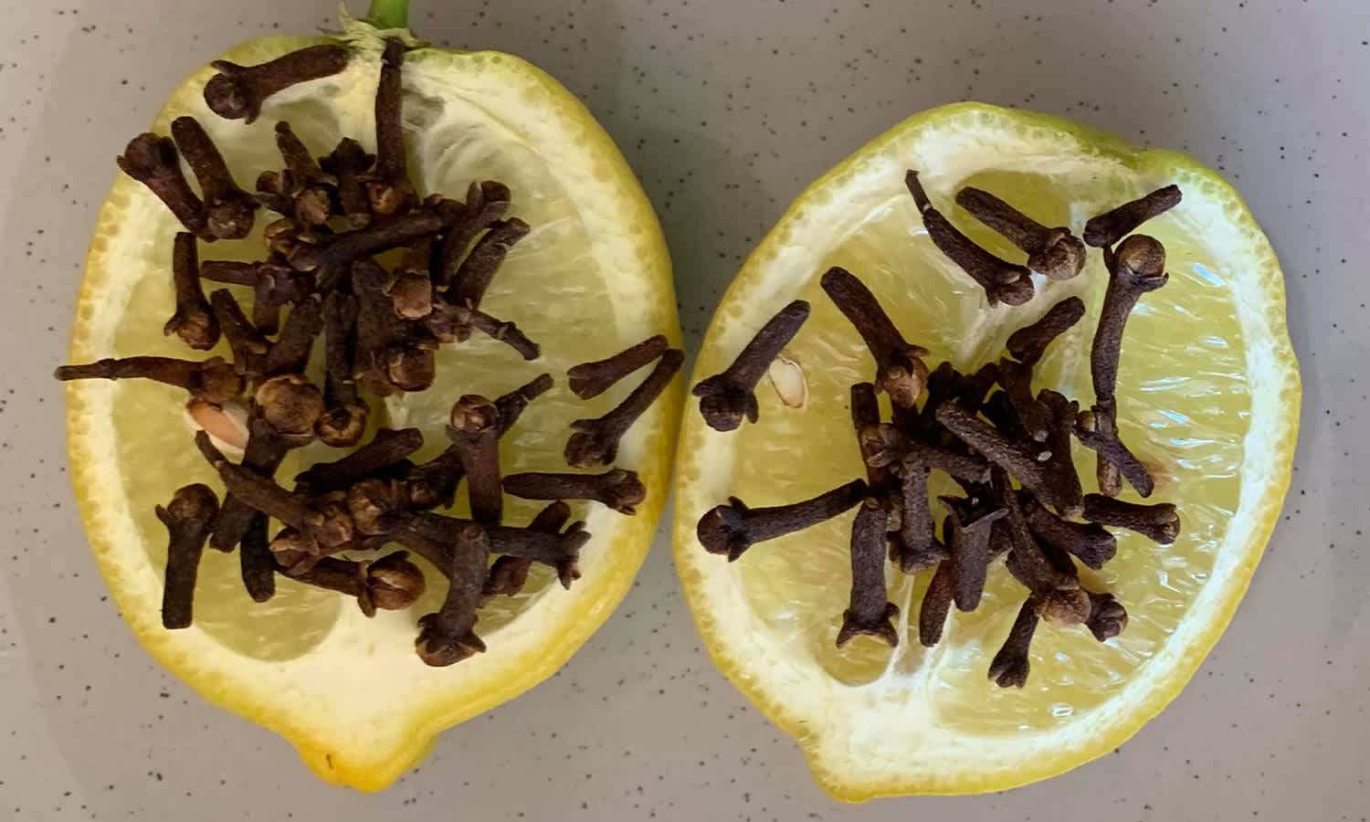 lemon-hack-flies