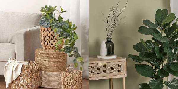 coles-marketlane-decor