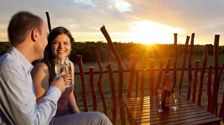 Overnight Safari experience