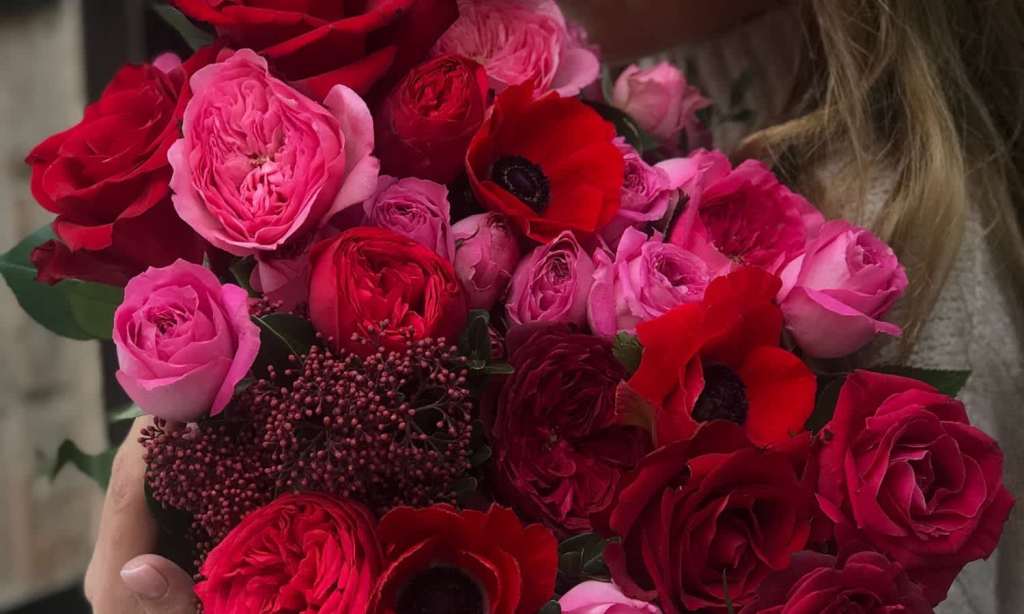 Valentine's Day roses