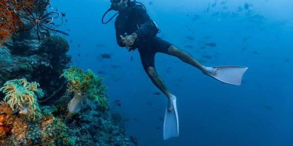 Flights to Cairns Great Barrier Reef