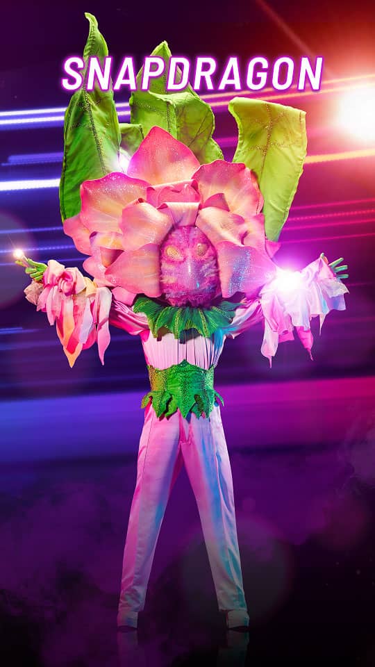 snapdragon masked singer