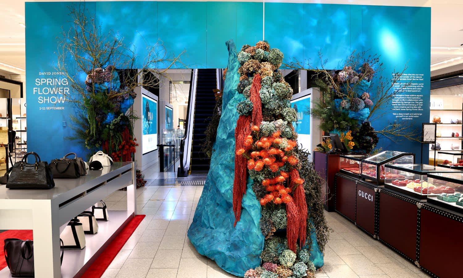 David Jones Flower Show