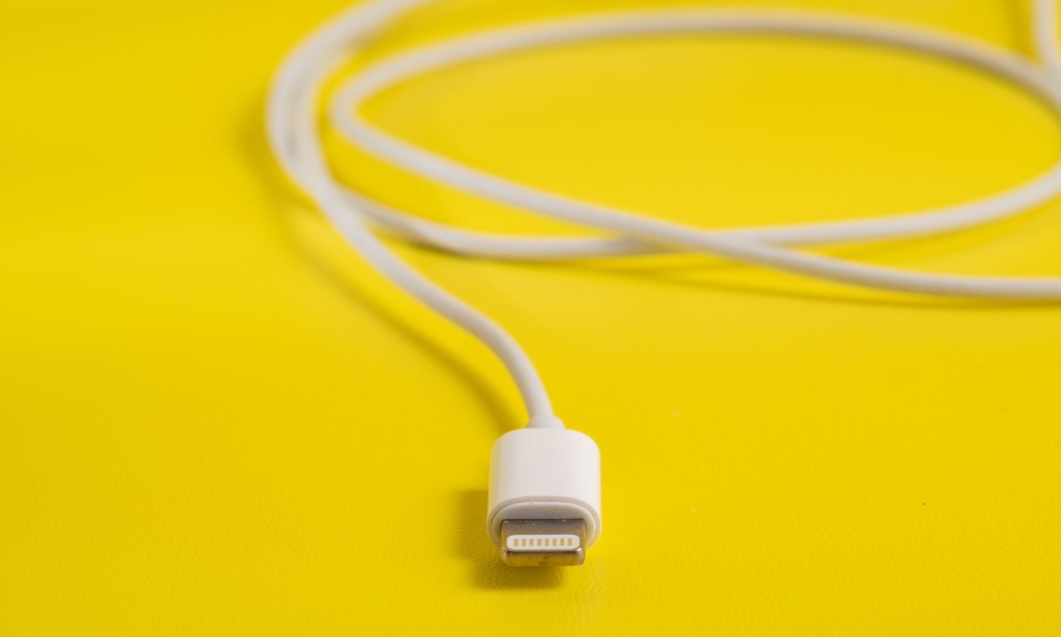 iPhone lightning port