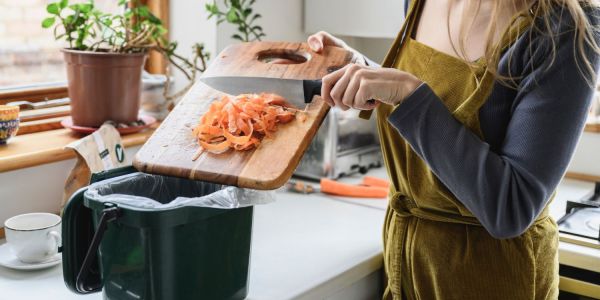 compost bin - things to do