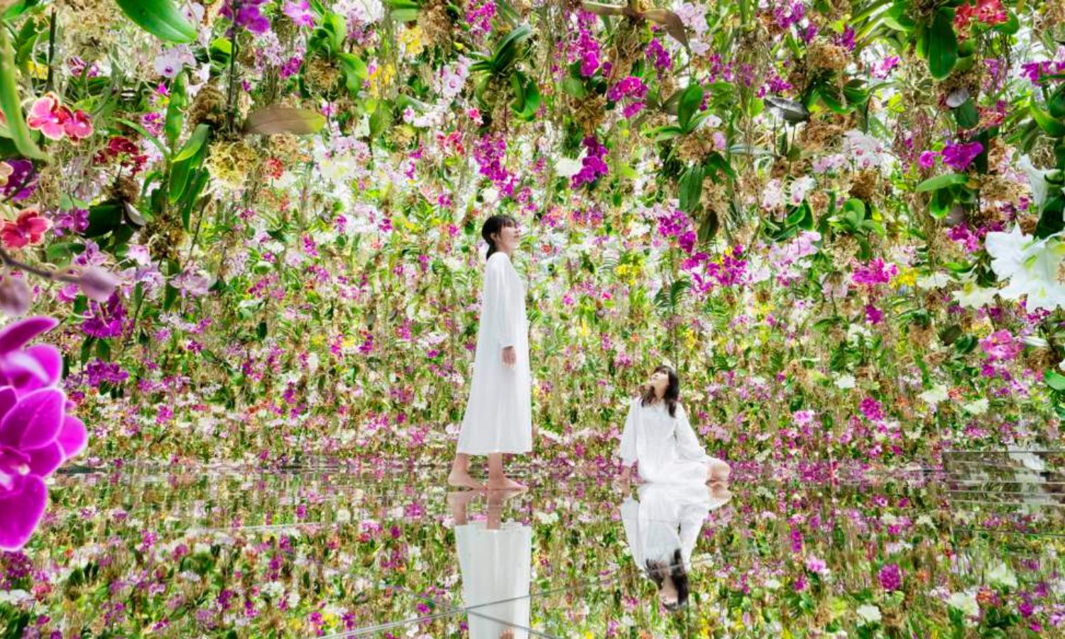 teamLab Planets Tokyo