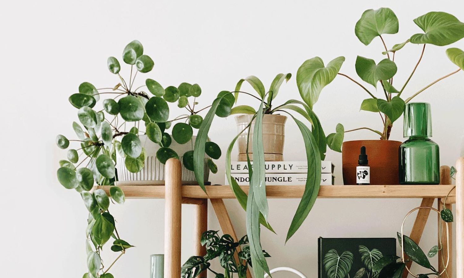 best gift delivery sydney