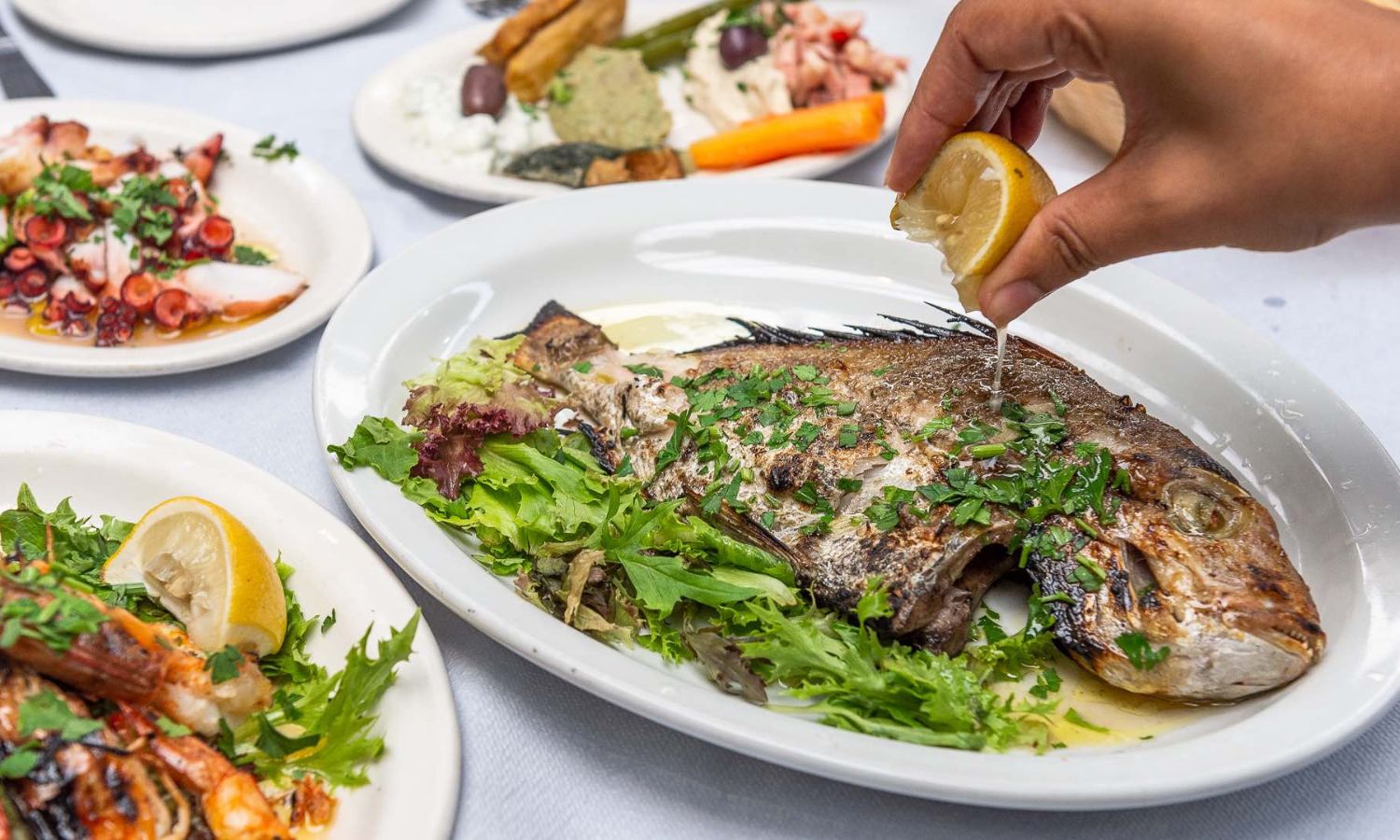 best greek restaurants mebourne