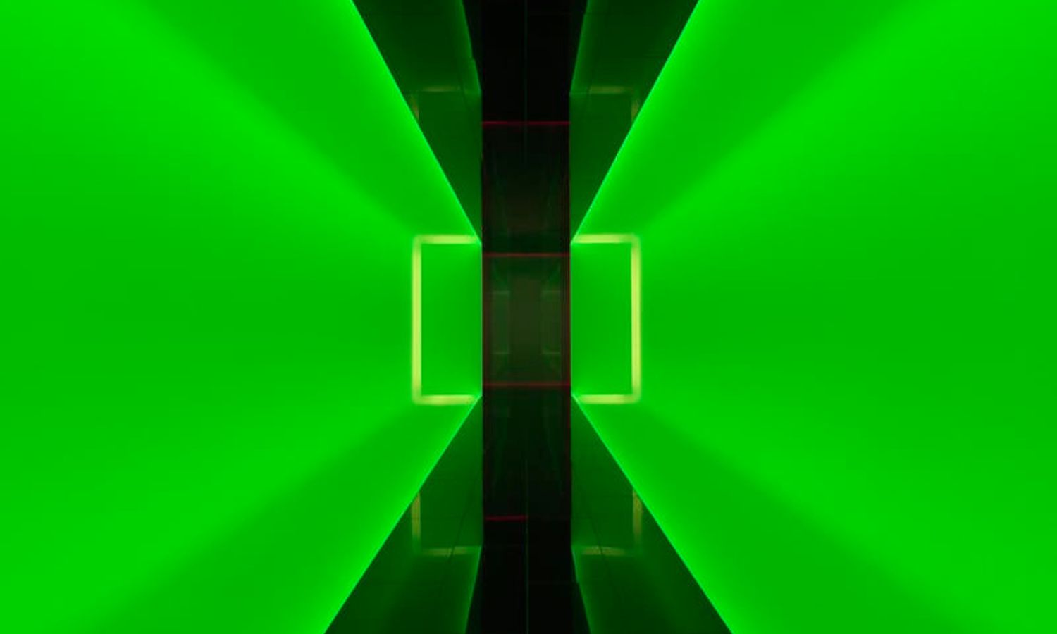 best things to see at mona