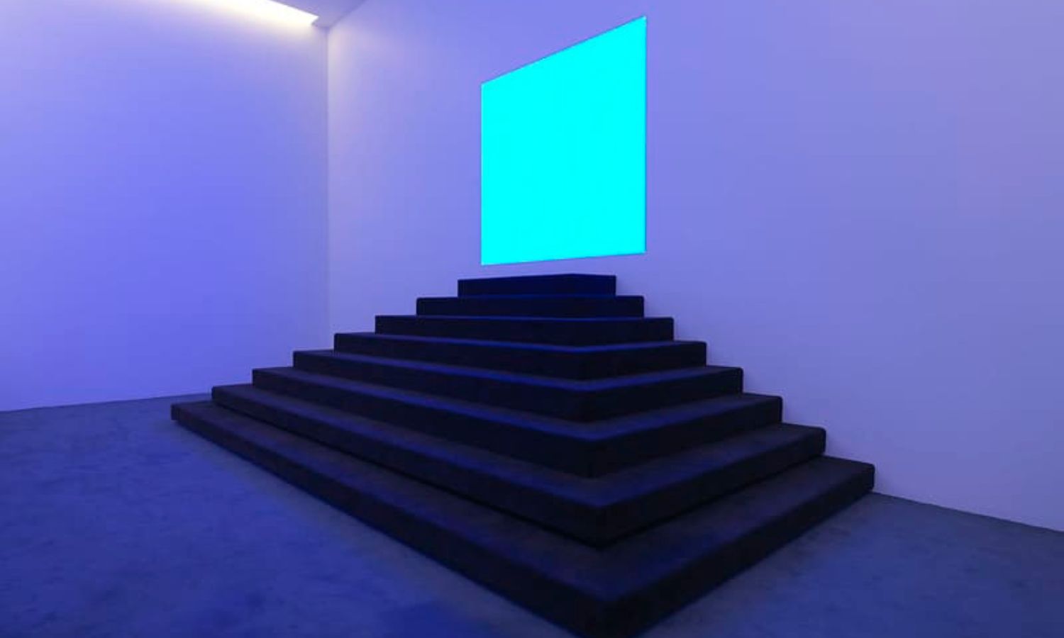 best things to see at mona