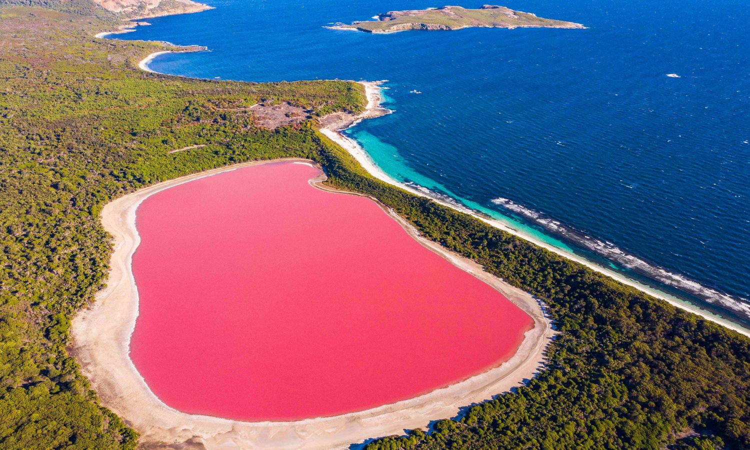 pink lake australia