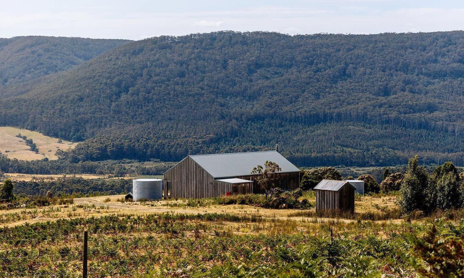 best gin distillery tas