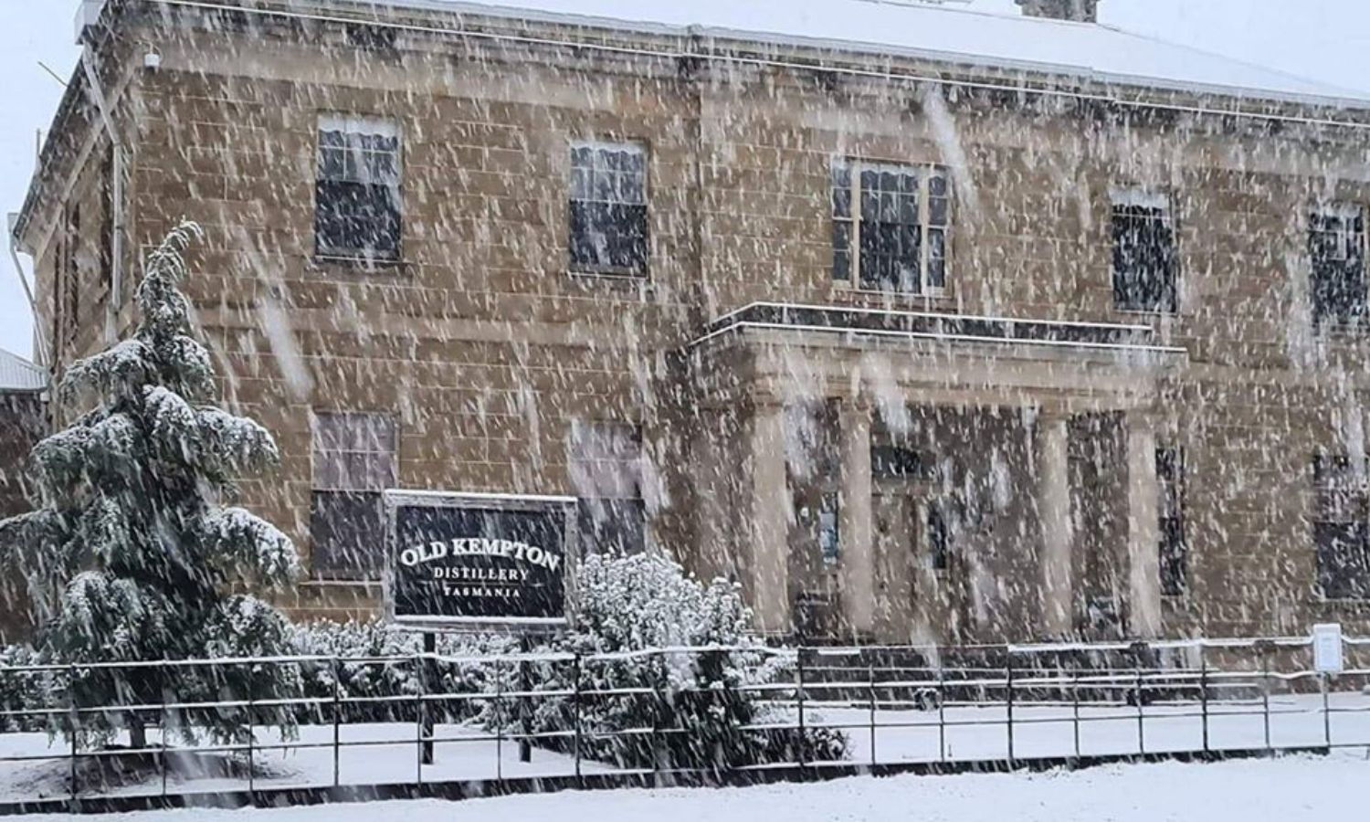 best gin distillery tas