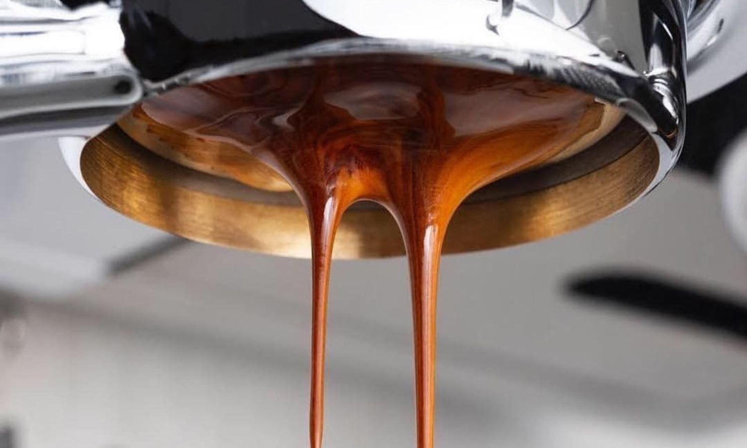 best hot chocolate sydney