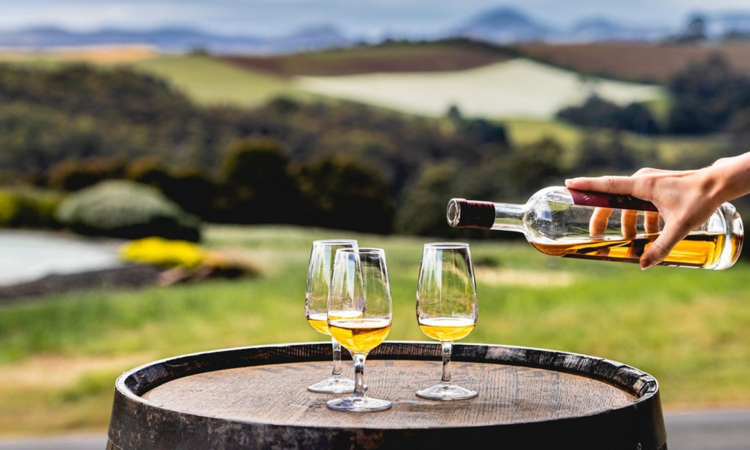 best whiskey distilleries TAS