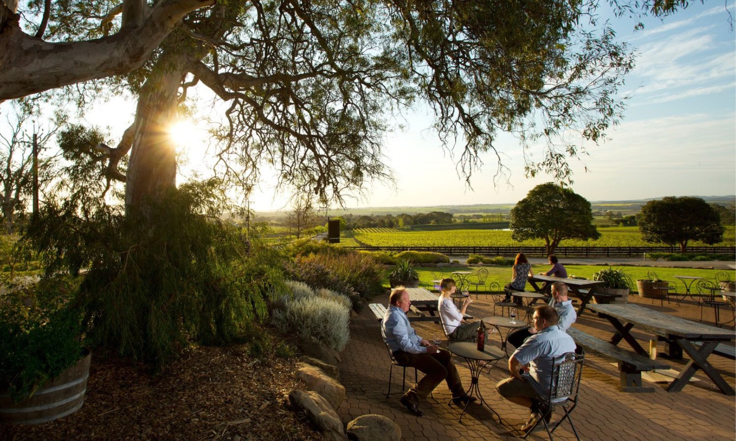 best wineries barossa valley