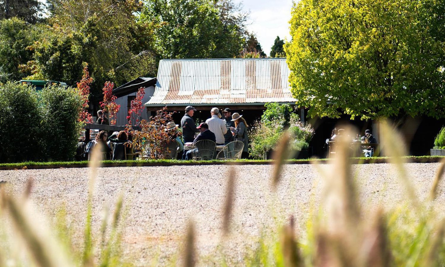 best wineries orange