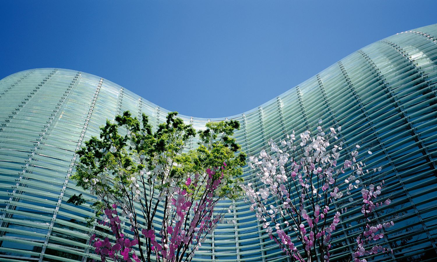 National Art Centre Tokyo
