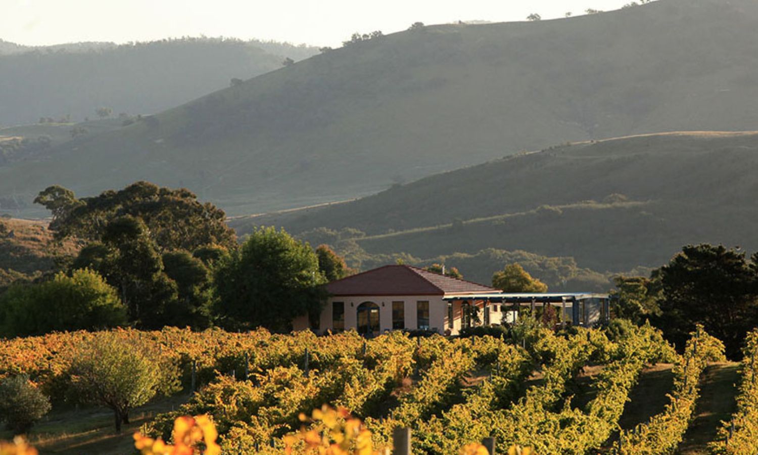 things to do canberra