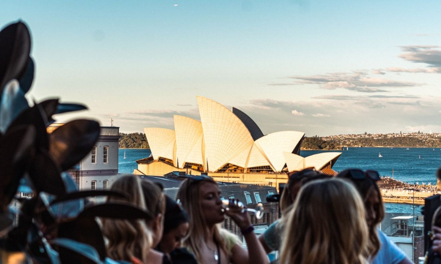 best rooftop bars sydney