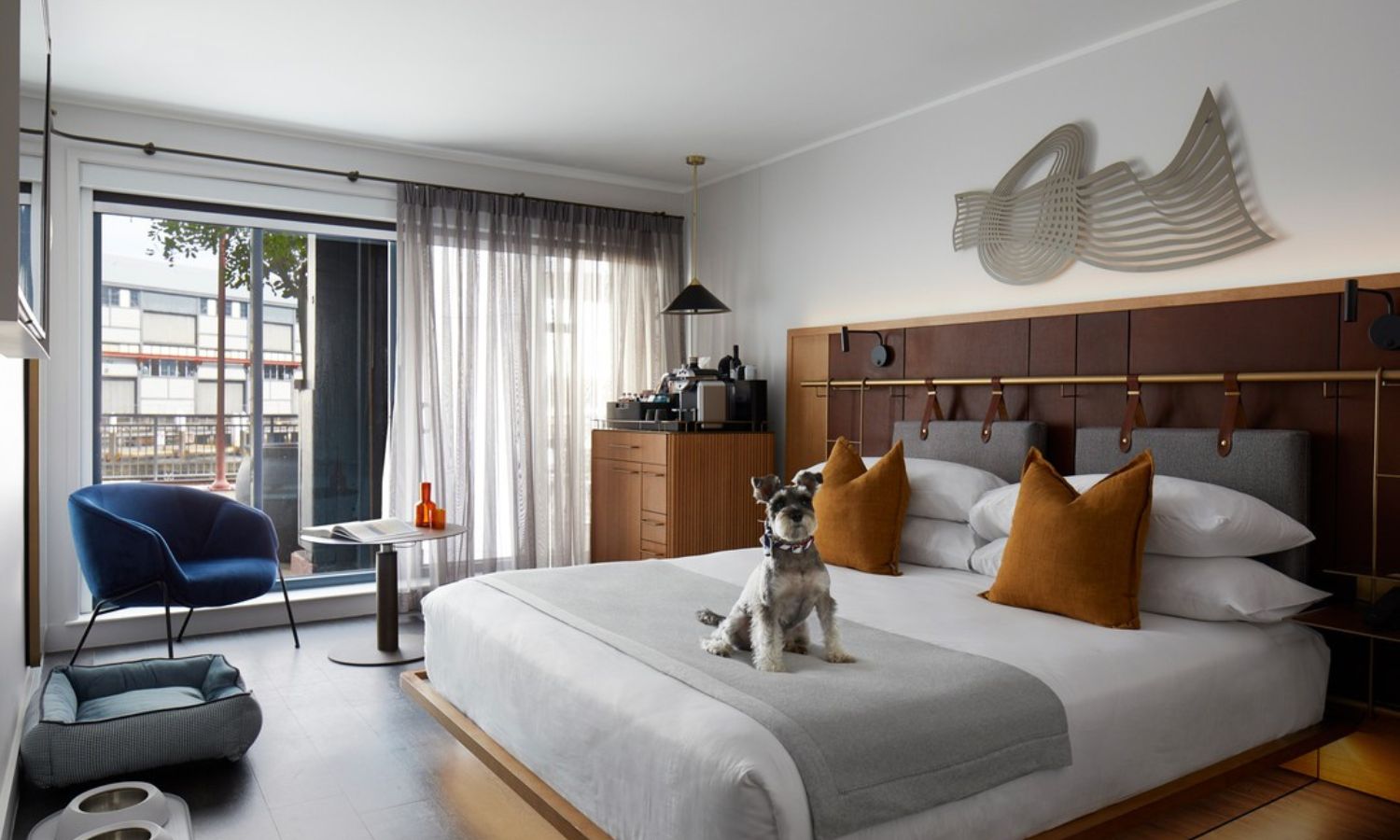 pet friendly accommodation nsw