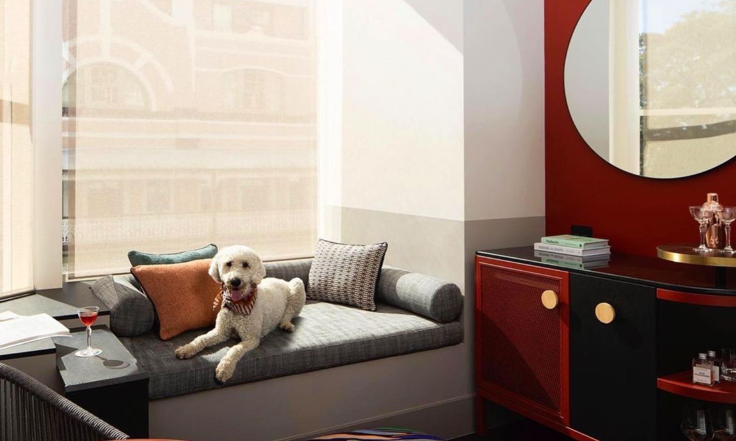 pet friendly accommodation nsw