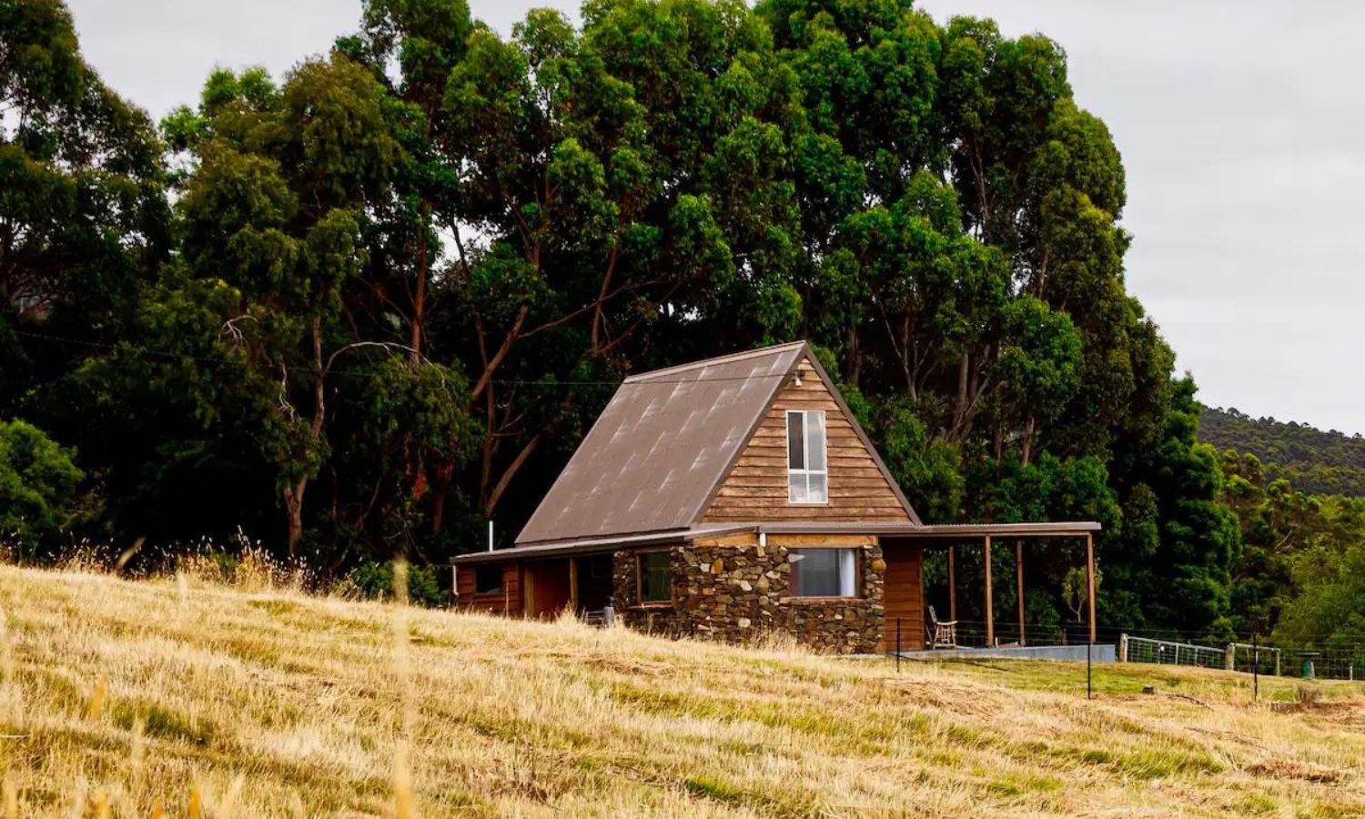 pet friendly accommodation tasmania