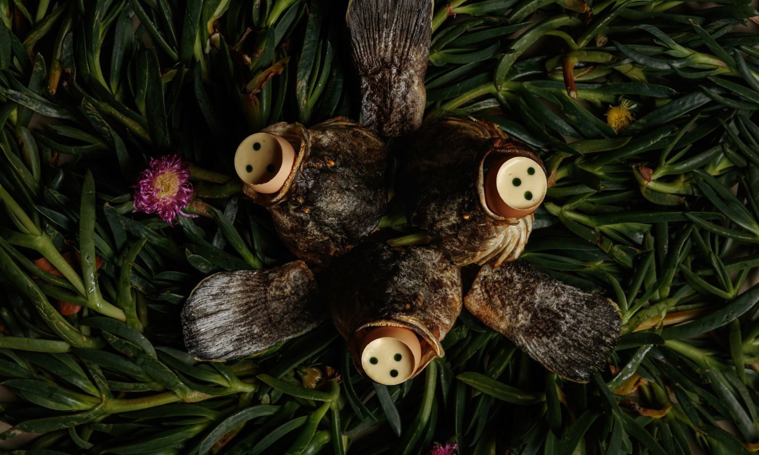 Rsetaurant Botanic Adelaide