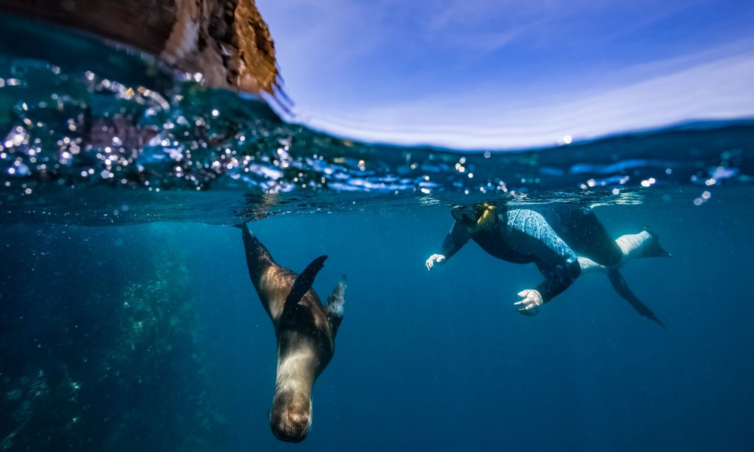 how to choose ethical willdlife experiences