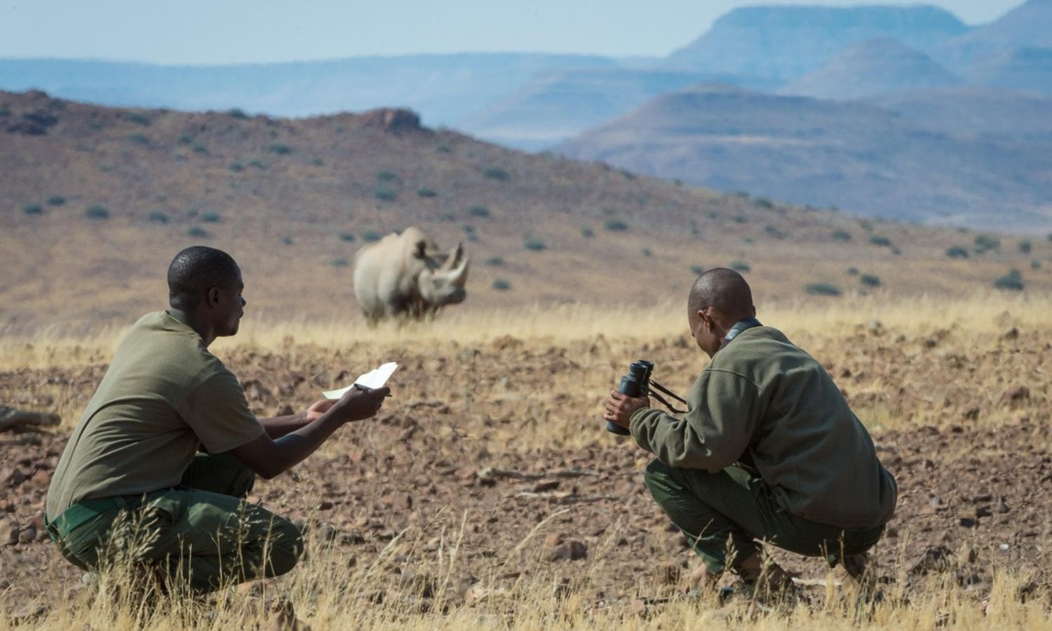 how to choose ethical willdlife experiences