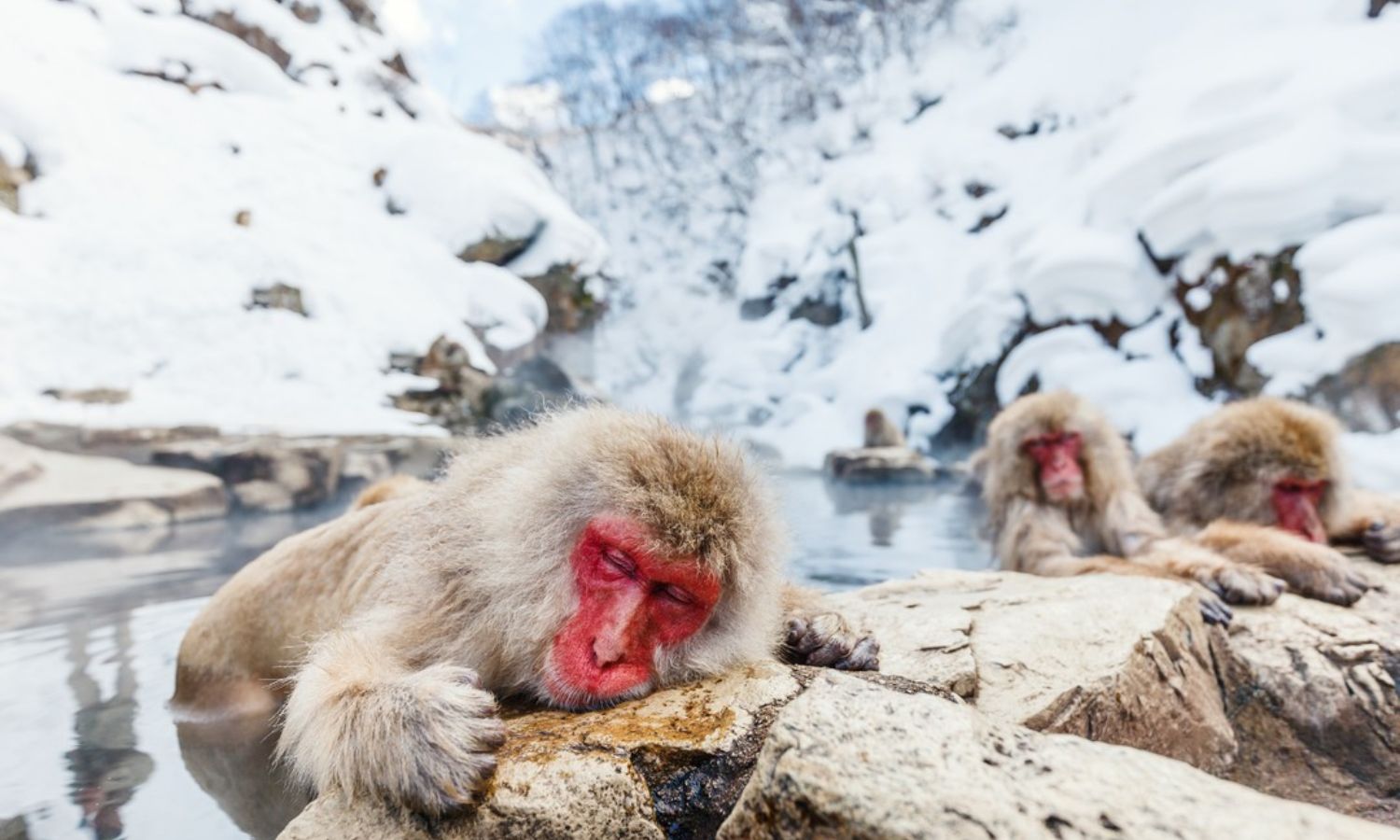 how to choose ethical willdlife experiences