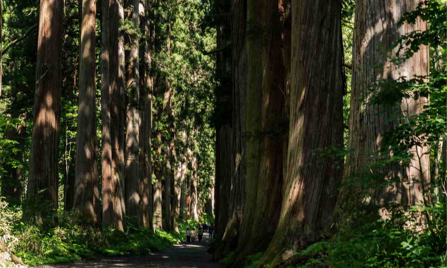 japan new golden route