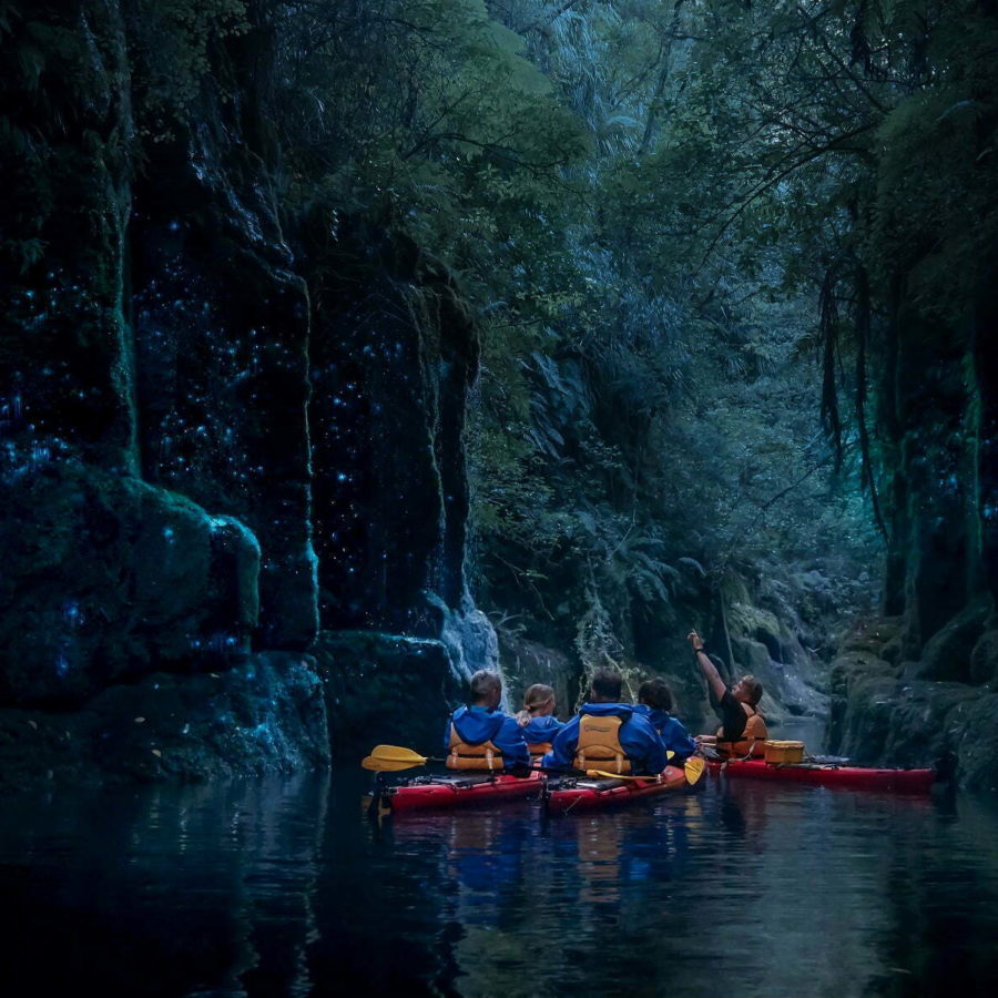 Waimarino Kayak Tours water activities in New Zealand