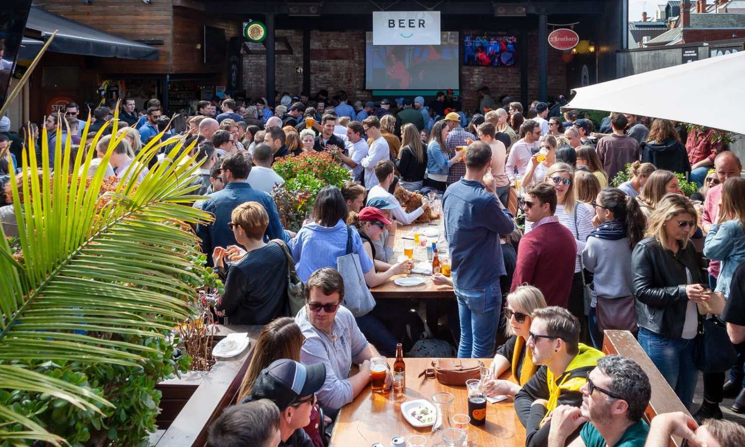 best beer gardens melbourne