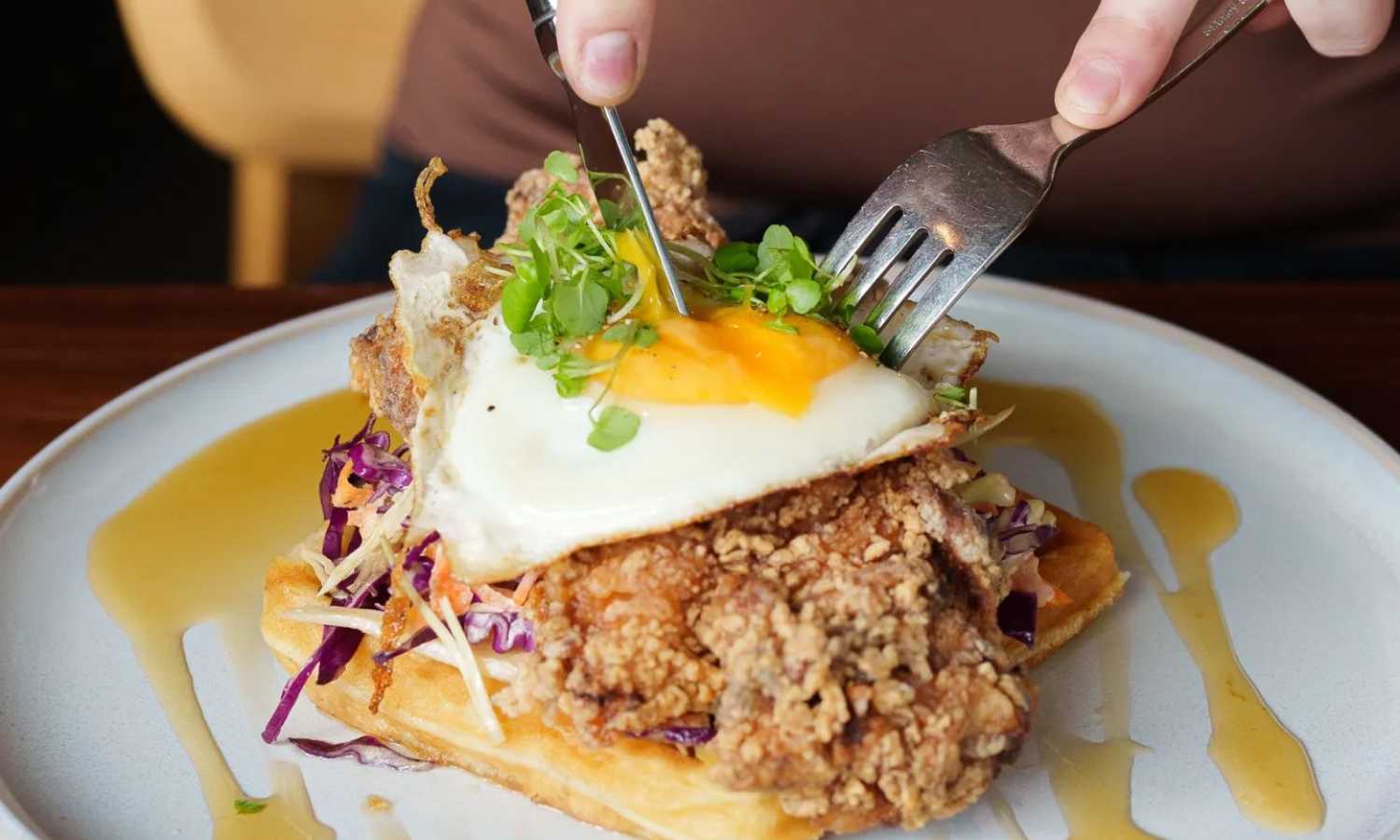 best dog friendly cafes brisbane