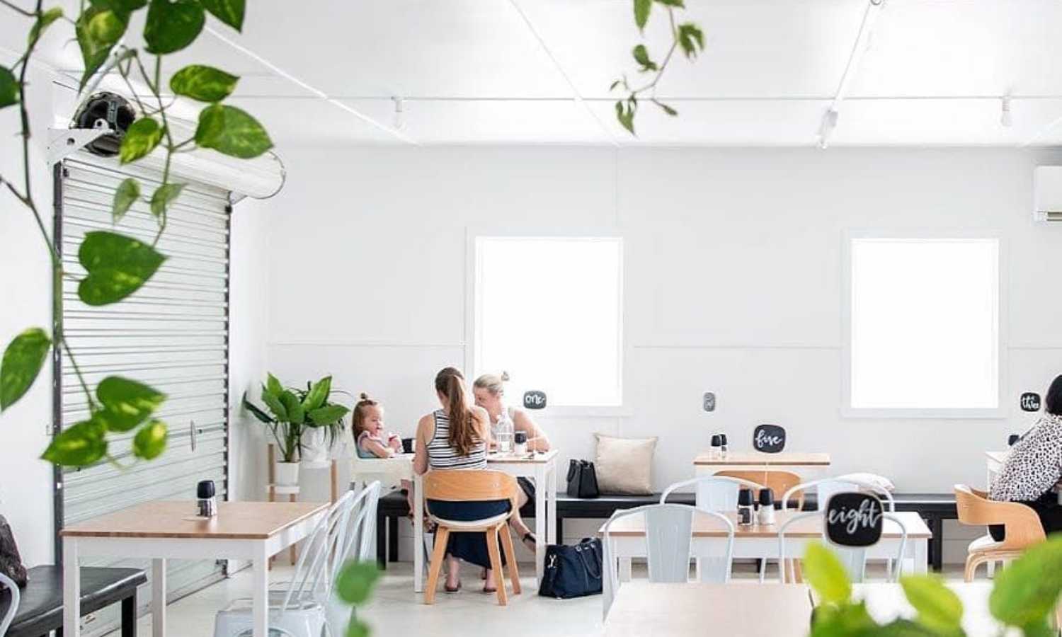 best dog friendly cafes brisbane