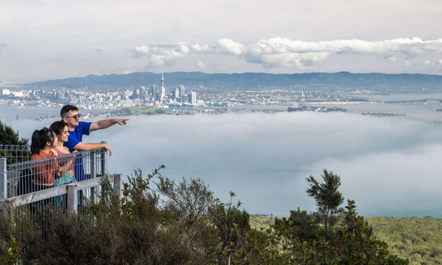 best walks auckland