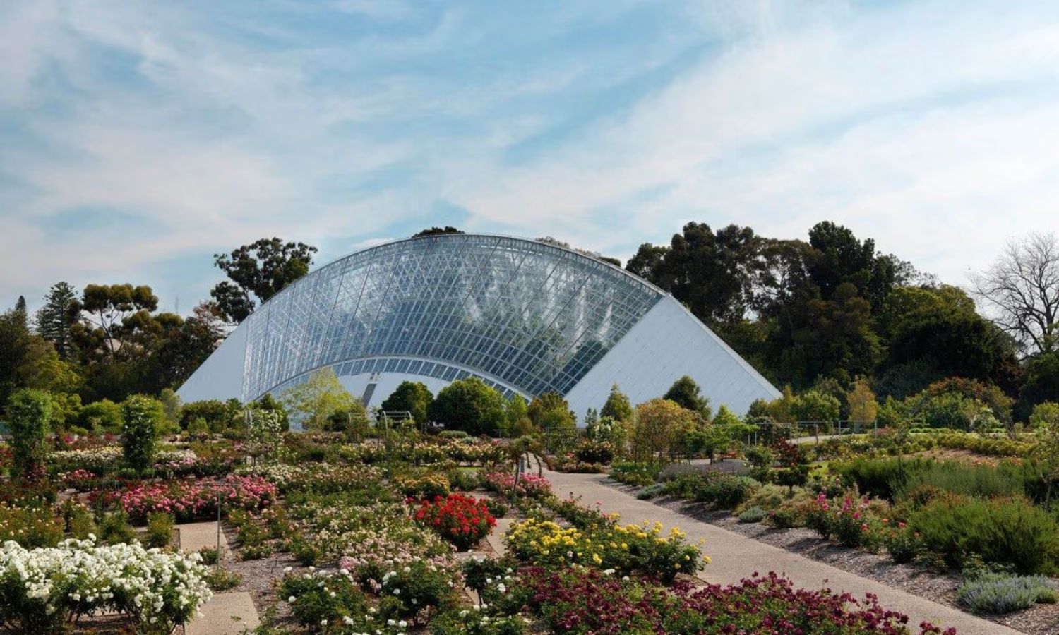 where to see spring flowers adelaide