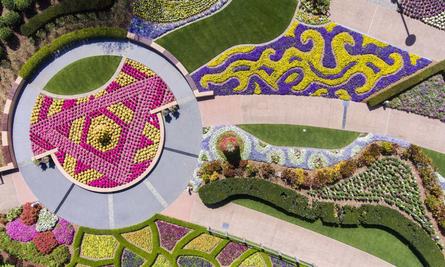 where to see spring flowers brisbane