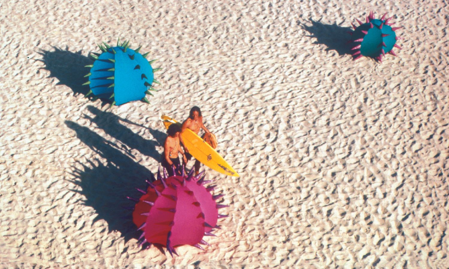 Sculpture by the Sea 2023