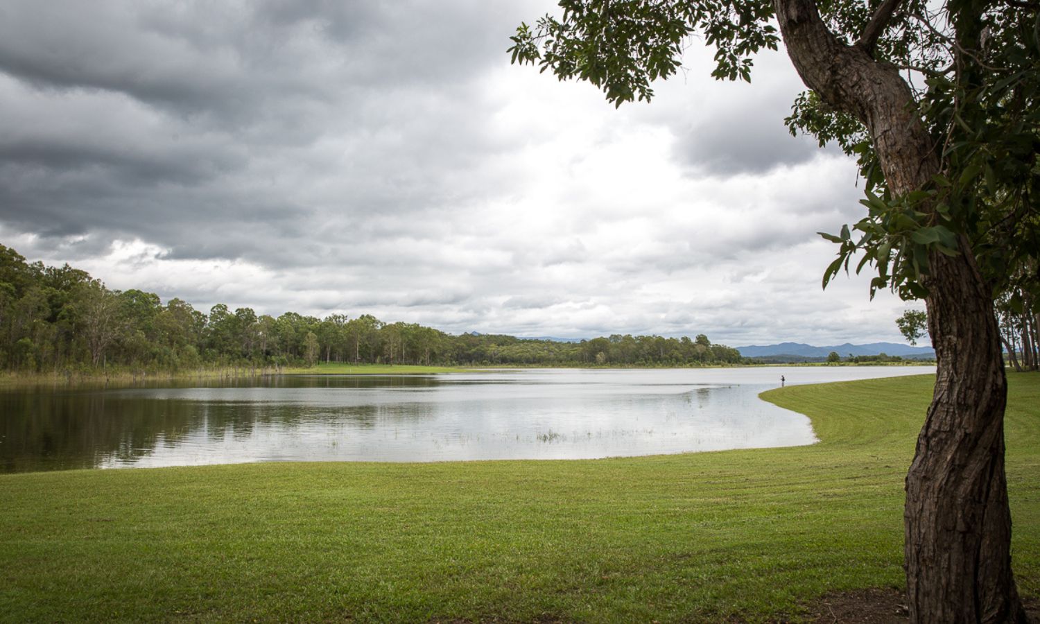 best fishing spots brisbane