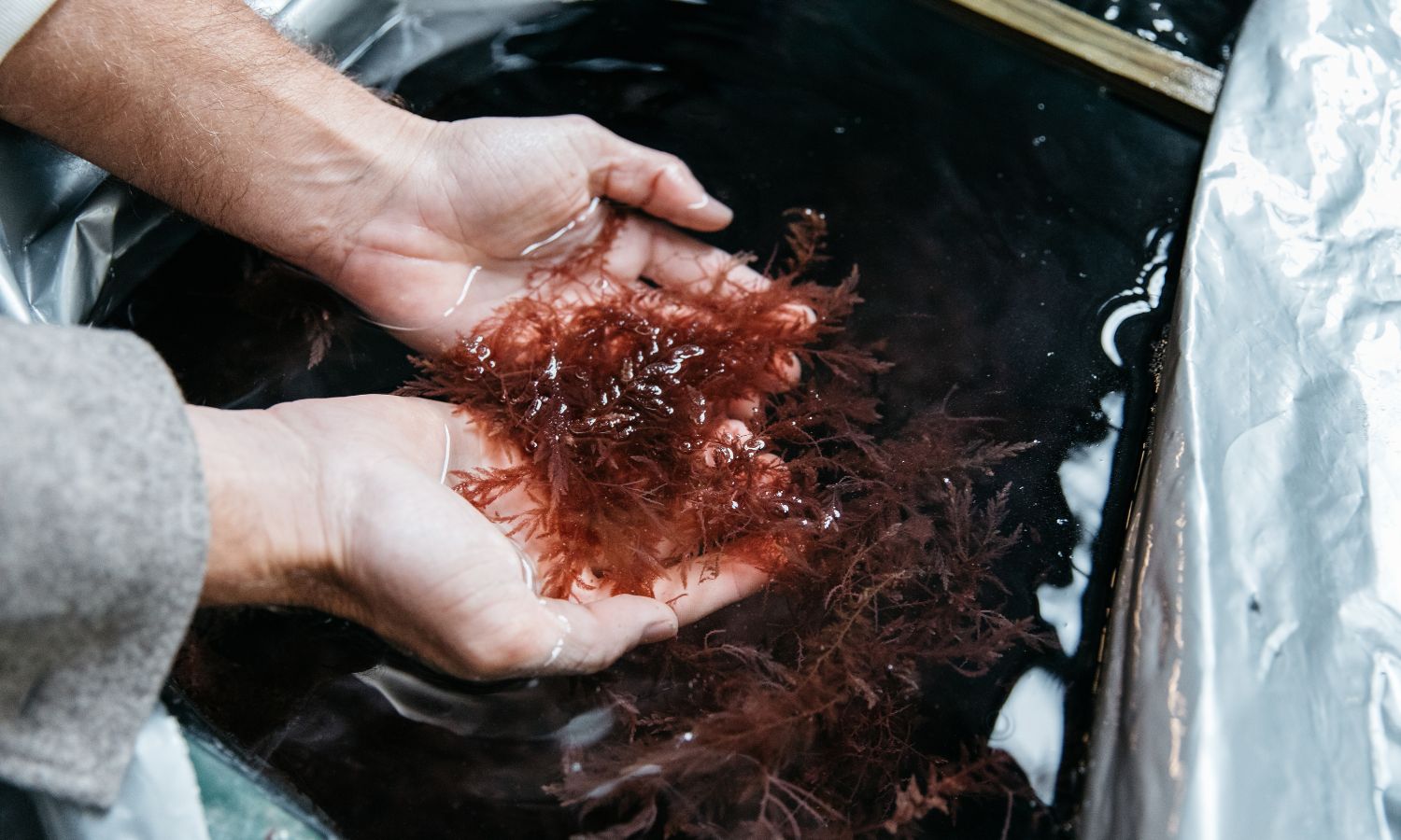 alcohol brands climate change