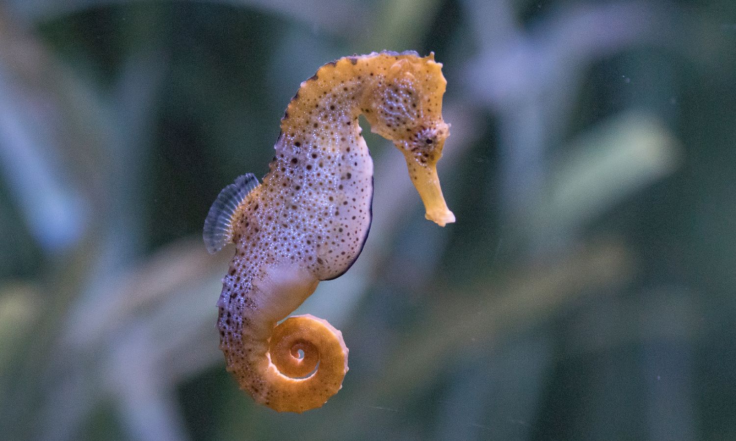 alcohol brands climate change