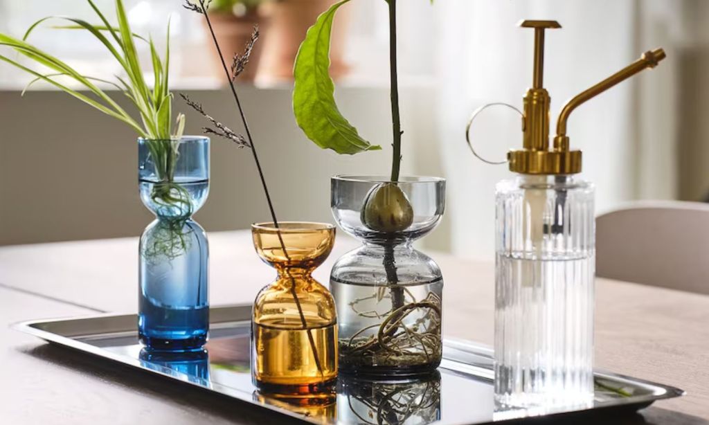 IKEA plant collection