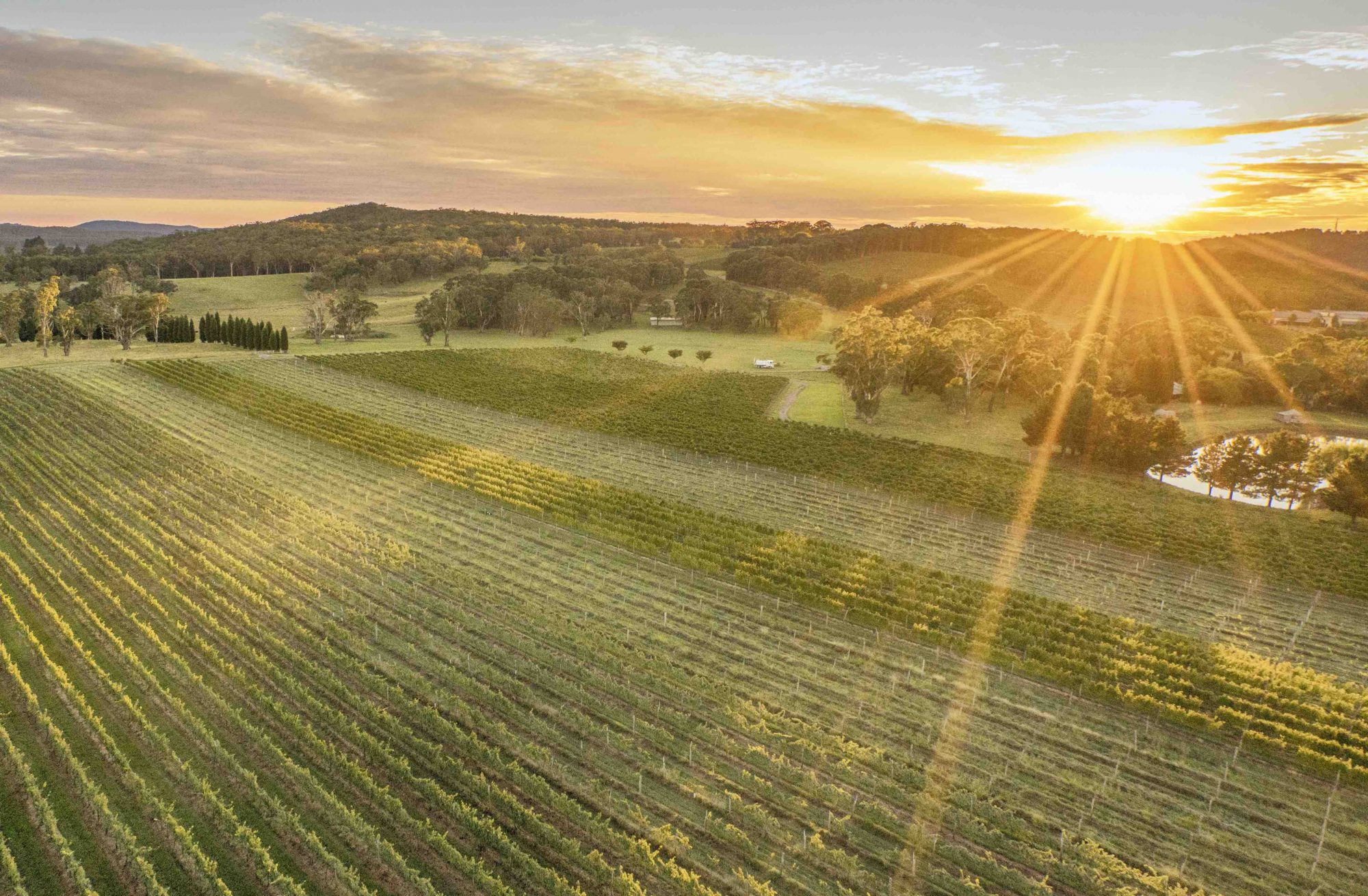 Scenic country views