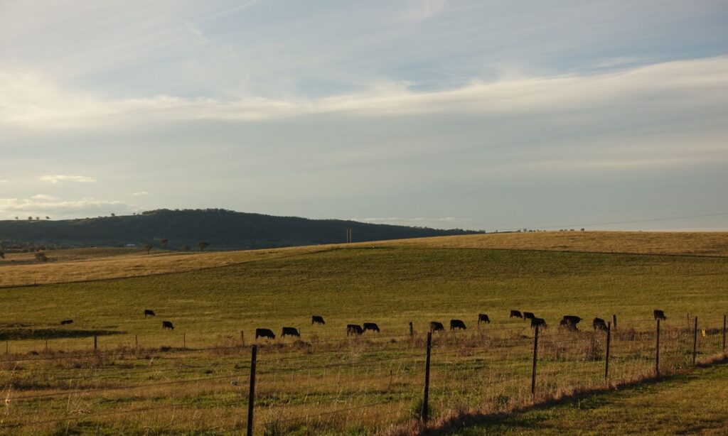 boxgrove bathurst things to do in bathurst