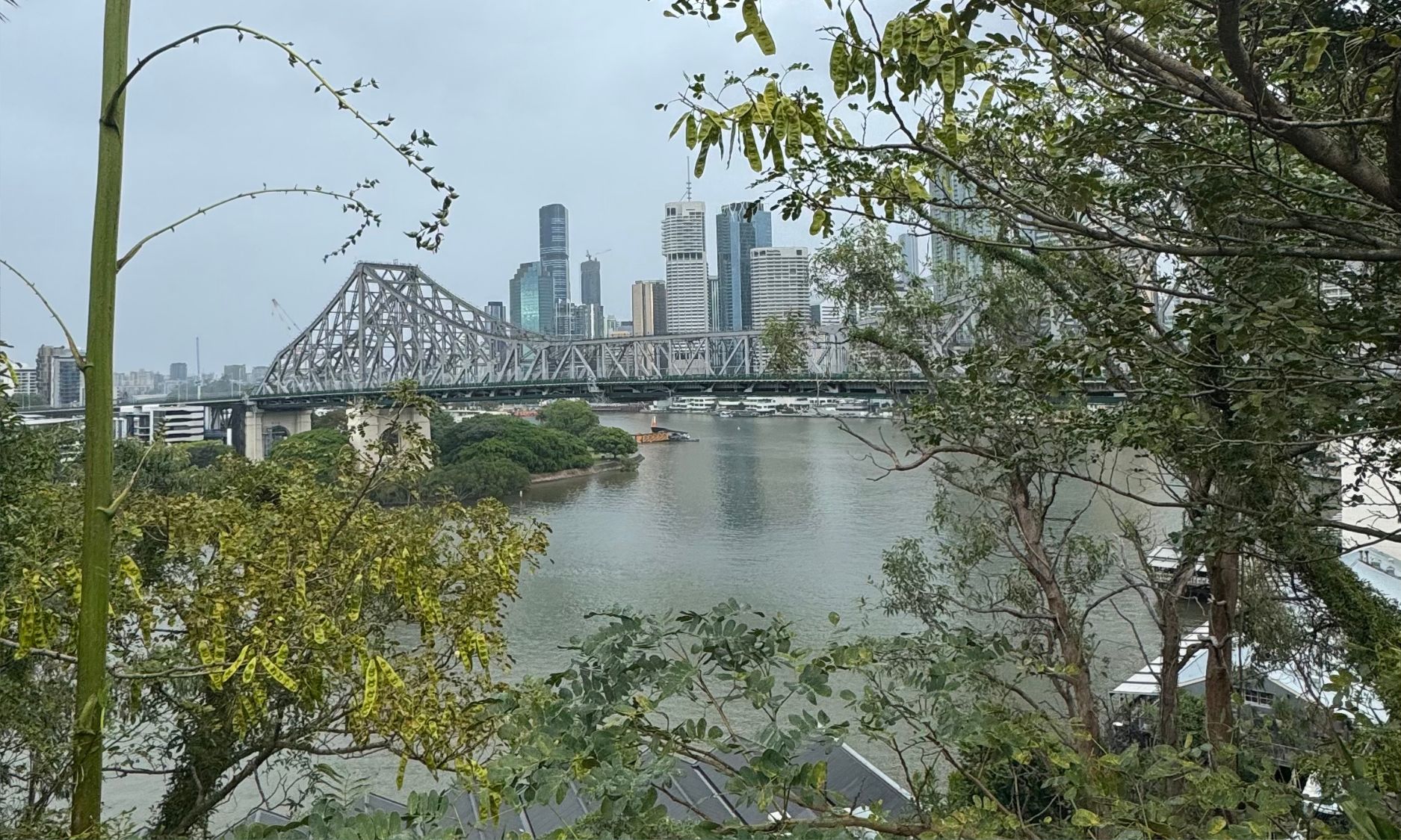 what to do in Brisbane