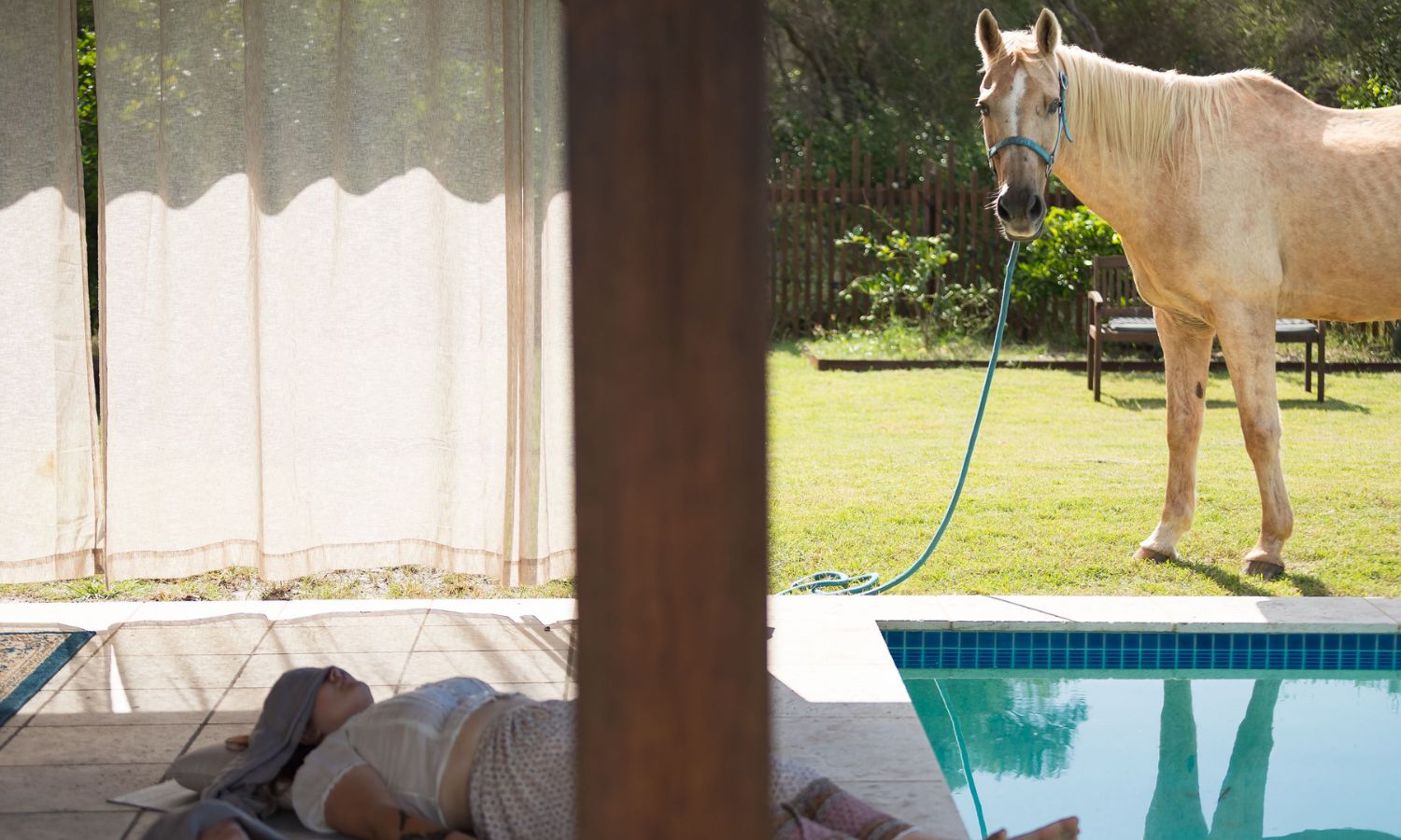 Equine therapy Australia